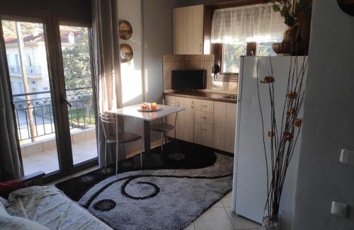 Trikala Apartment | Forest View Apartments