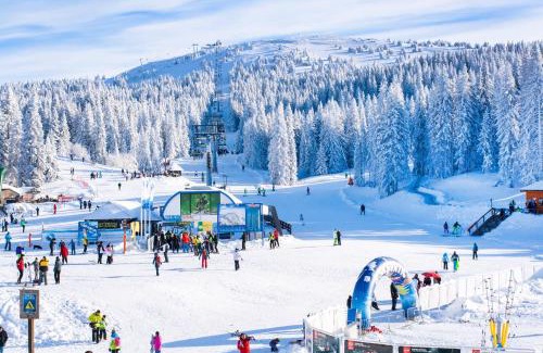 Kuestelberg Apartment | Forest View Apartments in Winterberg Sauerland