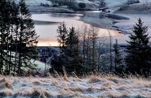 Ponterwyd Cabin | Forester's Retreat Glamping - Dinas View