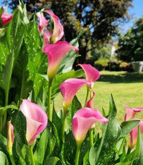Colico Bed & Breakfast | Foresteria Villa Simona