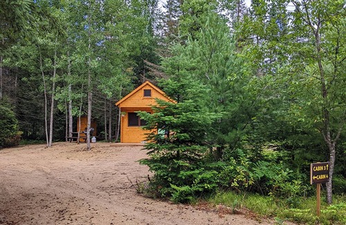 Hastings Highlands Cabin | Fox Den #3