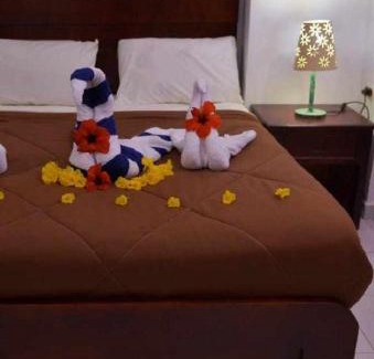 El Gouna Hotel | Fox House Beach Resort & Spa El Gouna