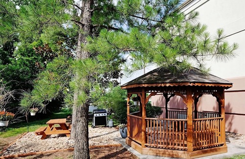 Ashley Oaks House | Frank H McClung Museum Tour! 2 Pet-friendly Suites w/Kitchen & FREE Parking!