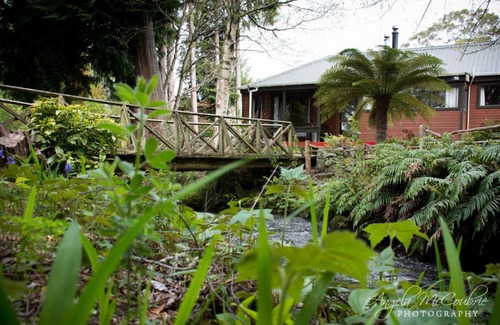 Ohakune Bed & Breakfast | Frankie & Hugh's