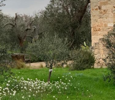 Spongano House | Fraula