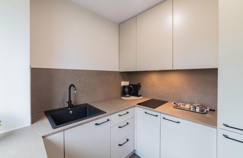 Siauliai City Center Apartment | Frida Apartment