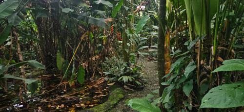 La Fortuna Apartment | Full equipado, WiFi, AC, vista volcán, 1er piso