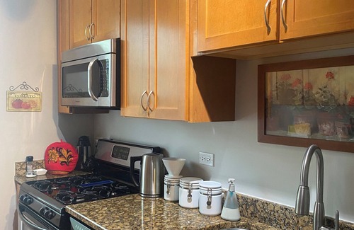 Irving Park Condo | Fully furnished 2 Bdrm. In Old Irving Park. Easy walk to Blue Line.