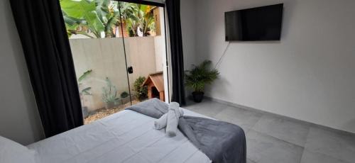 Campeche Sul Apartment | Functional Studio in Campeche CMP0002