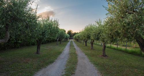 Capaccio-Paestum Bed & Breakfast | Fuori le Mura
