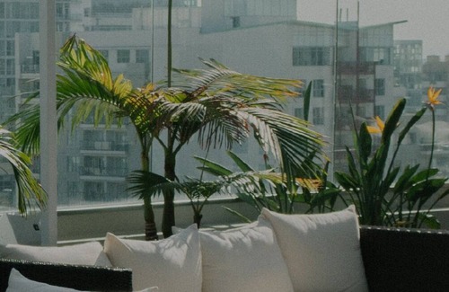 South End House | Furnished South End Studio w/Gym, W/D & Pool