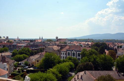 Vac Apartment | GÁK Panoráma Apartman