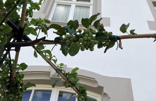 Kanzem Apartment | Gästehaus Cantzheim I Ferienwohnung Ritterpfad - Cantzheim.dorf