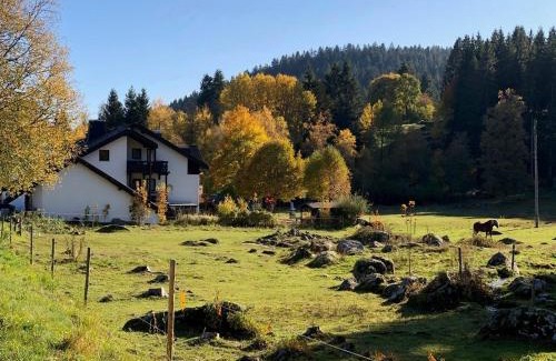 Blasiwald Apartment | Gästehaus Seewald- Ferienwohnung 6 "Fichte", Schluchsee, Blasiwald