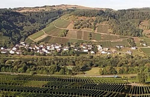 Schleich House | Gästehaus-Weingut Michael Scholer