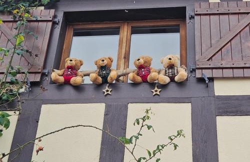 Bergholtzzell House | Gîte a la source