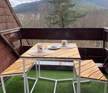 Klingenthal Apartment | Gîte au nid de l’écureuil
