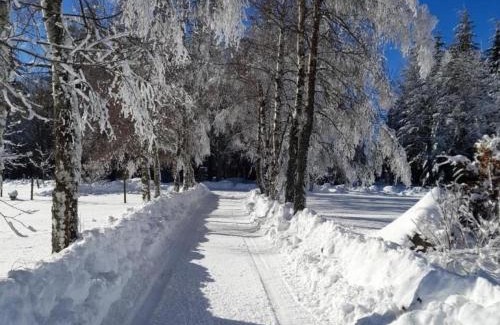Saint-Regis-du-Coin House | Gîte chaleureux avec poêle à bois, terrasse, wifi, proche activités nature - FR-1-496-268