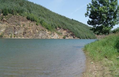 Doizieux House | Gîte de charme entre Lyon et St-Étienne avec animaux acceptés - FR-1-496-155
