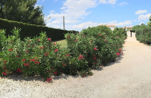 Arles Cottage | Gîte du Petit Mandon-Arles-Crau-Camargue: a house for 5 people with spa