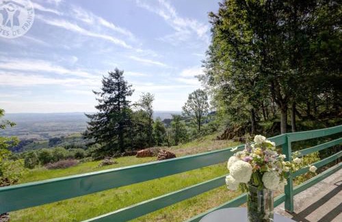 Arcon House | Gîte familial avec cheminée, terrasse et jardin - Animaux acceptés - FR-1-496-177
