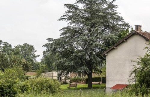 Mazirat House | Gîte familial en Auvergne avec jardin, ping-pong, proche stations thermales, animaux acceptés - FR-1-489-127