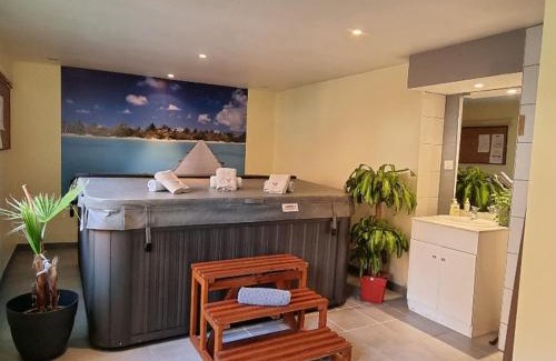 Ventron Apartment | Gîte Jonquille, 2 à 8 personnes avec salle de jeux et SPA dans la résidence