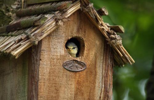 Cherisey House | Gîtes spacieux avec jardin