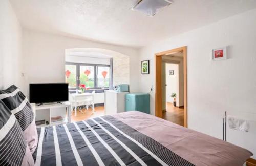 Loerrach Apartment | Günstiges grünes Ferienzimmer mit separater moderner Dusche