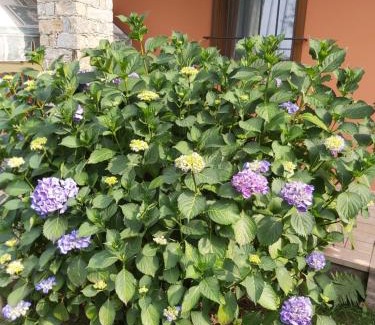 Nonio Apartment | G&G1 Appartamento con giardino privato