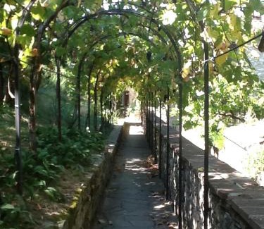 Montefioralle Apartment | Garden Apartment