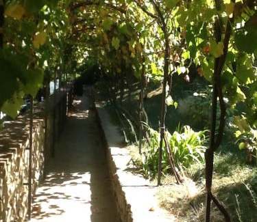 Montefioralle Apartment | Garden Apartment
