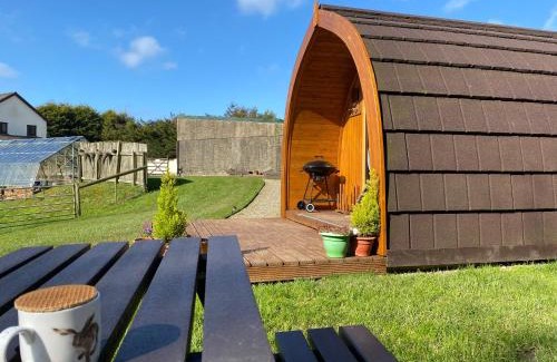Boncath Other | Garden Cottage Glamping Pod