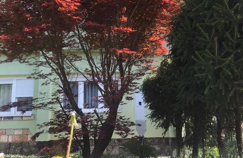 Kosjeric Apartment | Garden's apartman - Kosjerić