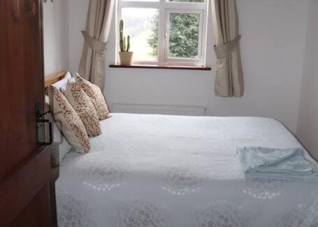 Newtown Apartment | Garn Lodge