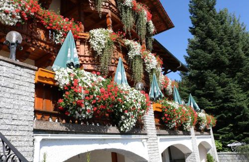 Lohberg Hotel | GarniHotel - Arberblick