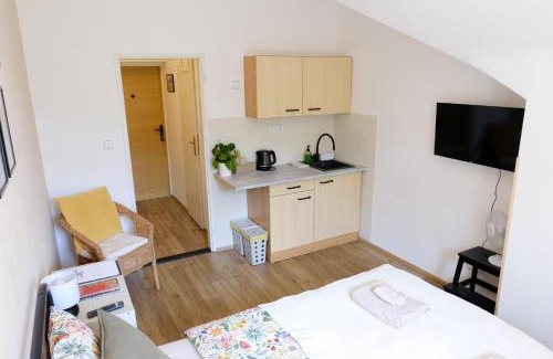 Luhacovice Apartment | Garsonka - Luhačovice