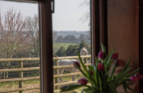 Denstone House | Zoes Cottage 5 mins drive to Alton Alpaca`s