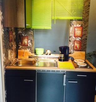 Schmiedefeld am Rennsteig Apartment | Gemütliche Ferienwohnung im Thüringer Wald, nahe des Rennsteigs - pure Erholung