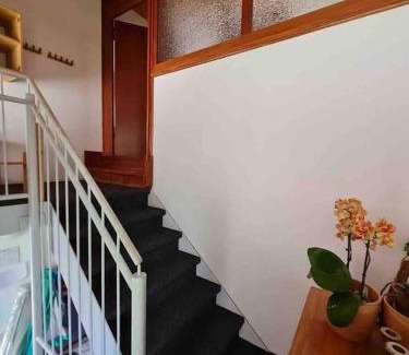 Brake Apartment | Gemütliche Wohnung auf dem Ziegenhof