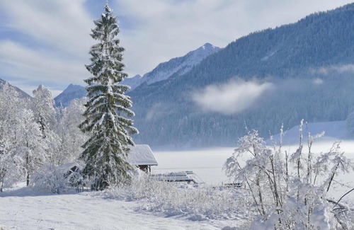 Hermagor-Pressegger See Apartment | Gemutliche Ferienwohnung nahe Ski Nassfeld