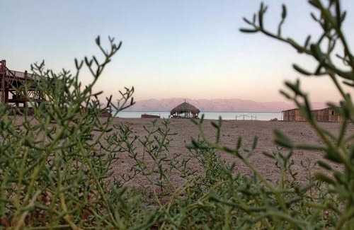 Dahab Other | Geo Tribe