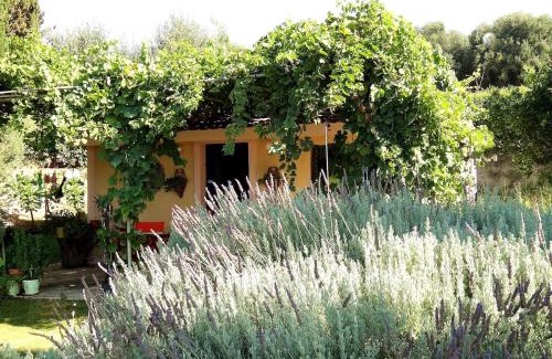 Kaligata House | Georgios Seaview Cottage