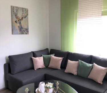 Clausthal-Zellerfeld Apartment | geräumige Ferienwohnung „Zum alten Forstamt“