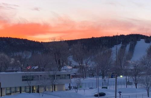 Mauricie Apartment | Gestion clin d’œil - 501