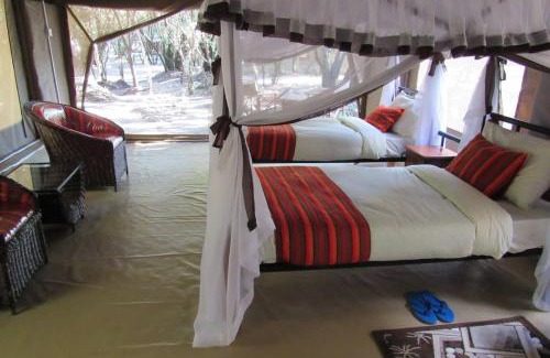Maasai Mara House | Giraff maasai mara home stay&safaris