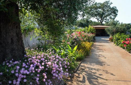 Limni Villa | Girasole Villa