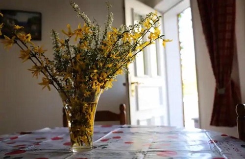 Osenbach Apartment | gite du heidenberg