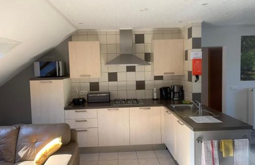 Nisramont Apartment | Gite La Chauve-souris Maxime
