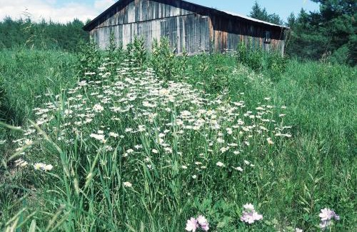 Notre-Dame-des-Monts Bed & Breakfast | Gite Pousse Pioche